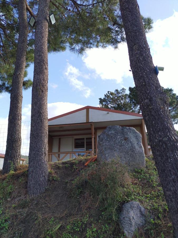 Camping Tikiti Проприано Экстерьер фото