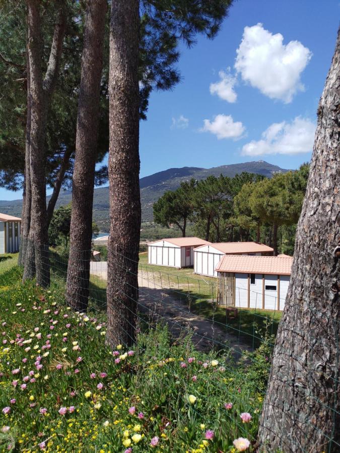 Camping Tikiti Проприано Экстерьер фото
