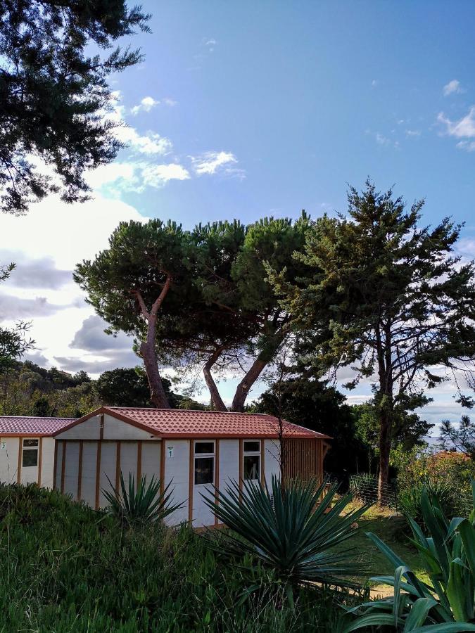 Camping Tikiti Проприано Экстерьер фото