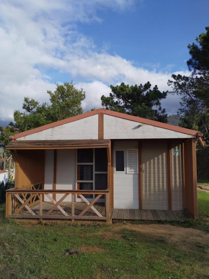 Camping Tikiti Проприано Экстерьер фото