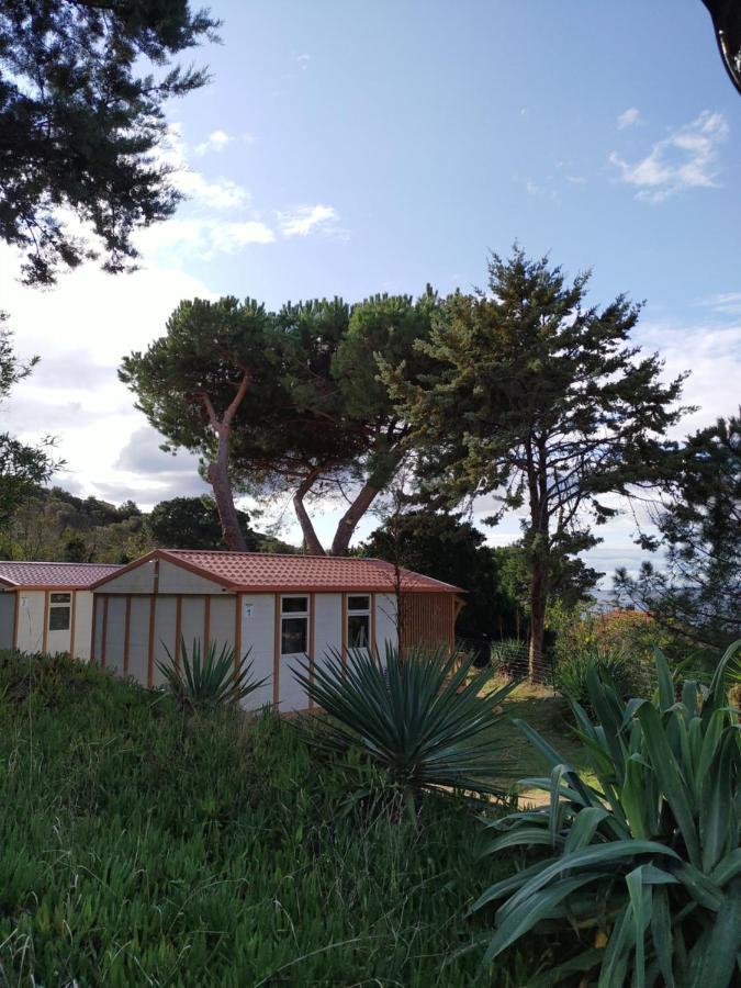 Camping Tikiti Проприано Экстерьер фото